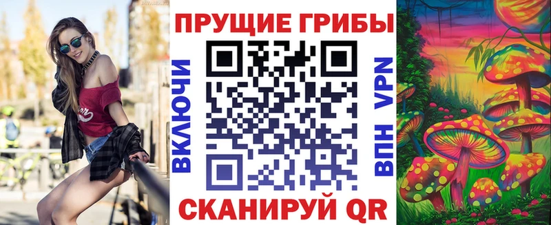 Псилоцибиновые грибы ЛСД  где купить наркоту  Южа 